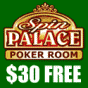Visit Spin Palace Poker